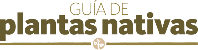 logo guia plantas nativas